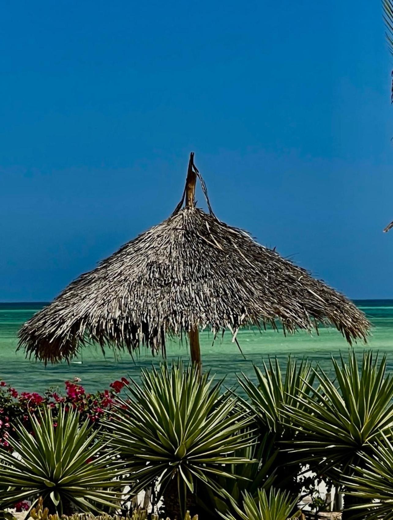 Bed and Breakfast Shira House Watamu Zewnętrze zdjęcie
