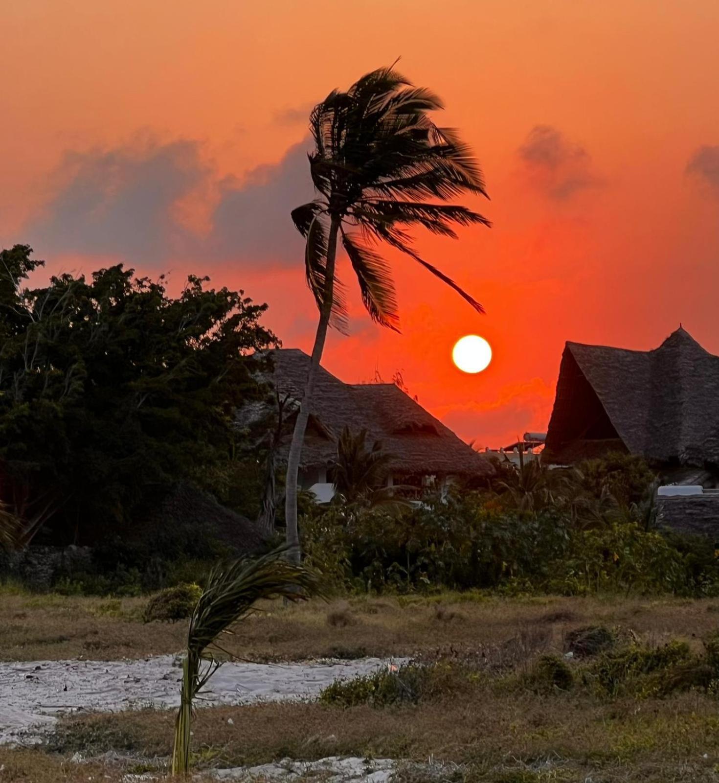 Bed and Breakfast Shira House Watamu Zewnętrze zdjęcie